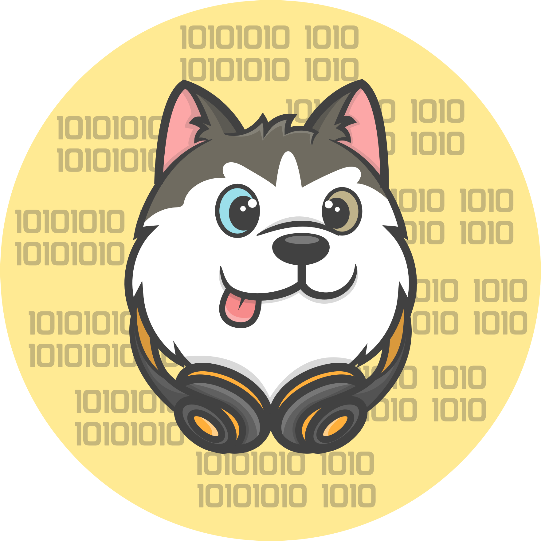HuskyCodes